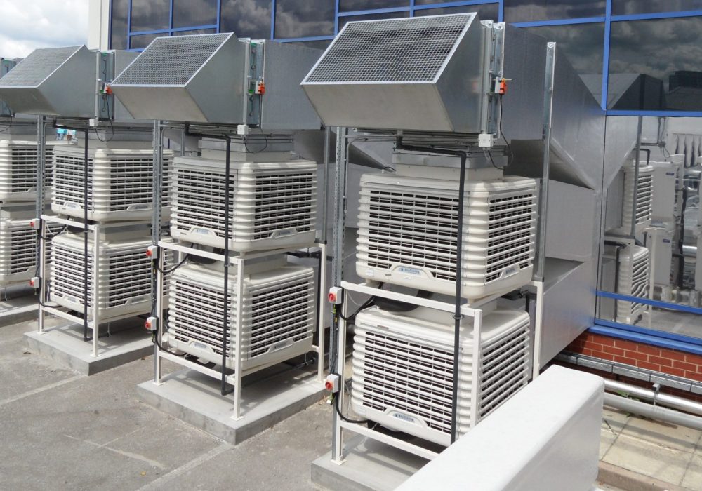 koklu-tarim_2022-03-21_09-51-59